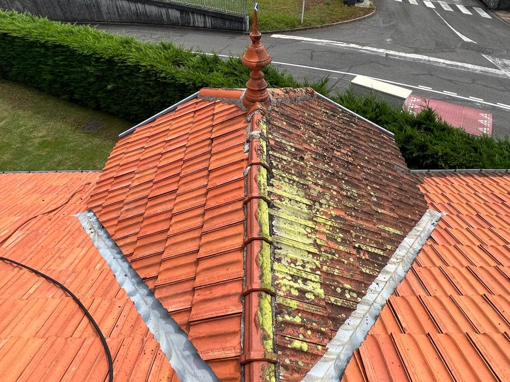 Nettoyage toiture Pau